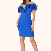 Ruffle Detail Fashion Dress Royal